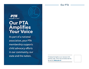 Customize-Content-Flyers-Amplifies-Color